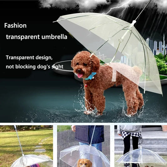 Pet Rain Protector